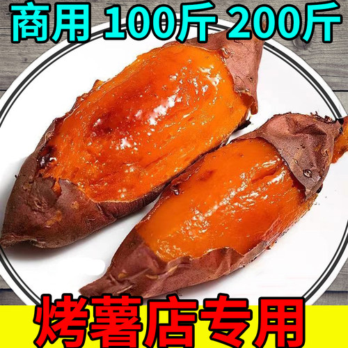 新鲜红薯正宗山东烟薯25号糖心蜜薯商用烤薯店专用烤地瓜烟台农科