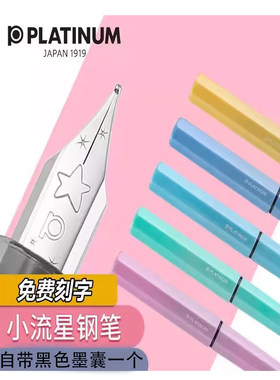 白金PQ-200钢笔练字书法用