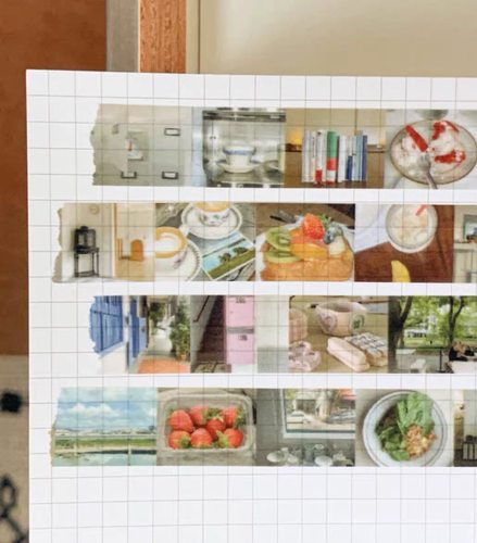 【至橘】韩国trust my vibe风景植物胶带分装盐系手帐素材装饰