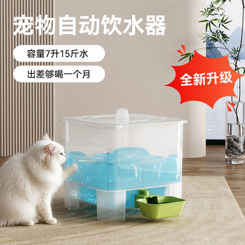 猫咪饮水机狗狗宠物自动喂水器