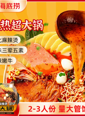 海底捞超大自热火锅东北麻辣烫麻辣嫩牛免煮户外朋友聚餐2-3人份