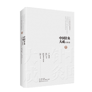 中国针灸大成经典卷 十一脉灸经素问针灸素问遗篇灵枢针灸湖南科学技术出版社9787571008222