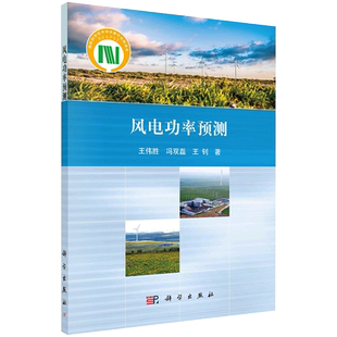 现货风电功率预测科学出版社