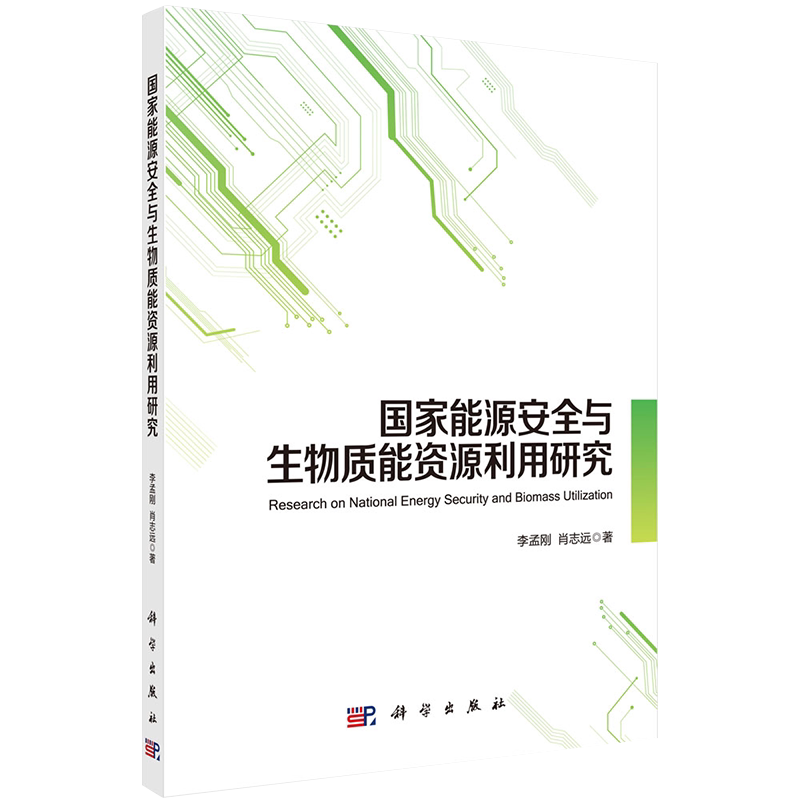 正版现货国家能源安全与生物质能资源利用研究李孟刚肖志远著科学出版社9787030695833