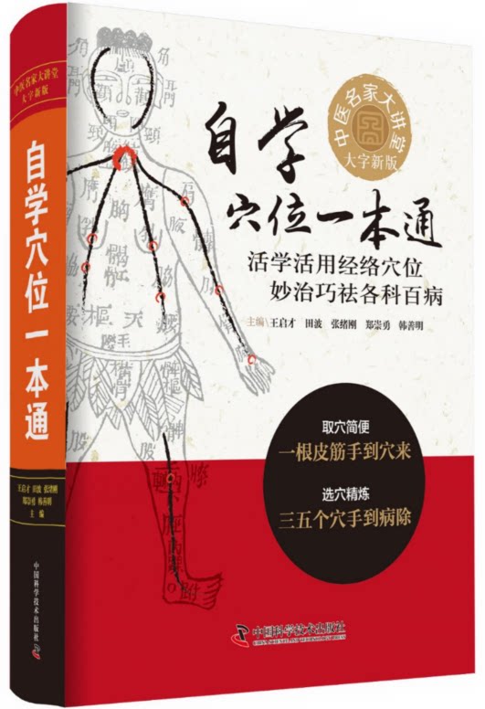 现货 自学穴位一本通:大字新版 活学活用经络穴位妙治巧祛各科百病 科学普及出版社