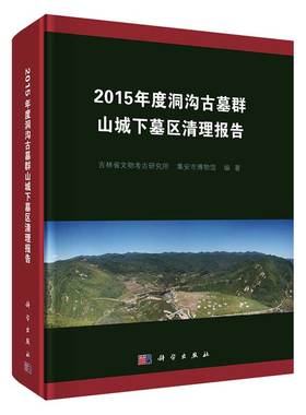 现货2015年度洞沟古墓群山城下墓区清理报告科学出版社