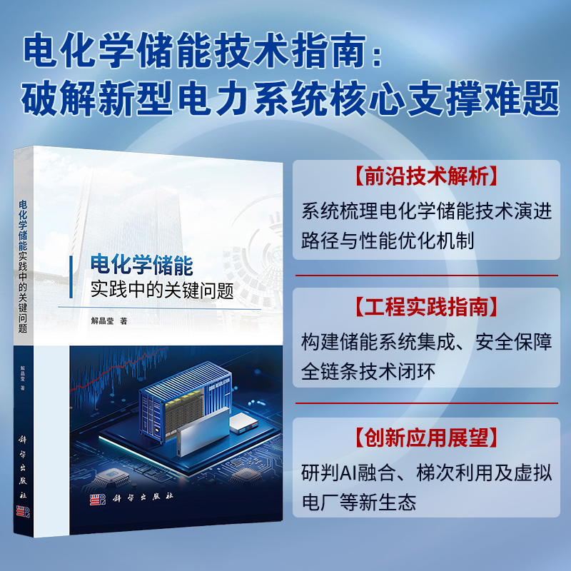 正版全新 平装 电化学储能实践中的关键问题 解晶莹 科学出版社 9787030826817