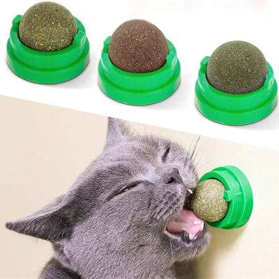 Natural Catnip Cat Wall Stick-on Ball Toy Scratchers Treats