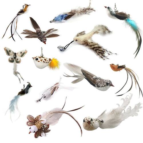 Handfree Bird/Feather Cat Wand with Bell Powerful Suction Cu