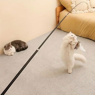 Four-Section Telescopic Cat Rod - Extendable, Cartoon Patter