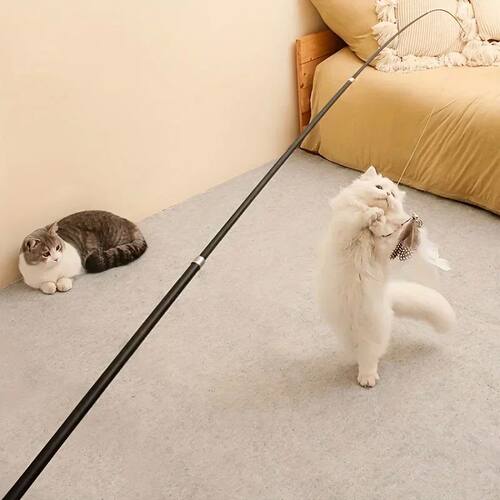 Four-Section Telescopic Cat Rod - Extendable, Cartoon Patter