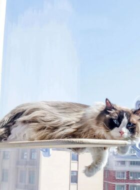 Cat hanging nest super suction cup swing sun can be removed