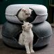 Felt Bed Cats Toys Indoor Pet Tunnel Interactive Cat Donut
