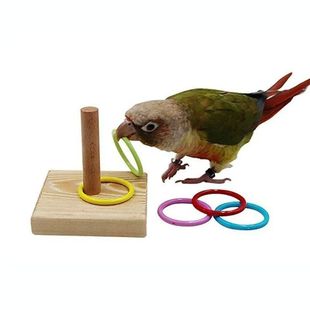 Bird Training Ring Toy Parrot Educational Toys Training Inte