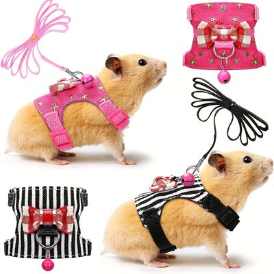 2pcs/set Hamster Harness And Leash Walking Set, Small Pet Cl