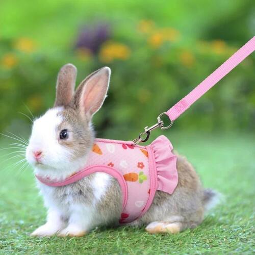 Rabbit Harness with Leash Cute Adjustable Buckle Breathable