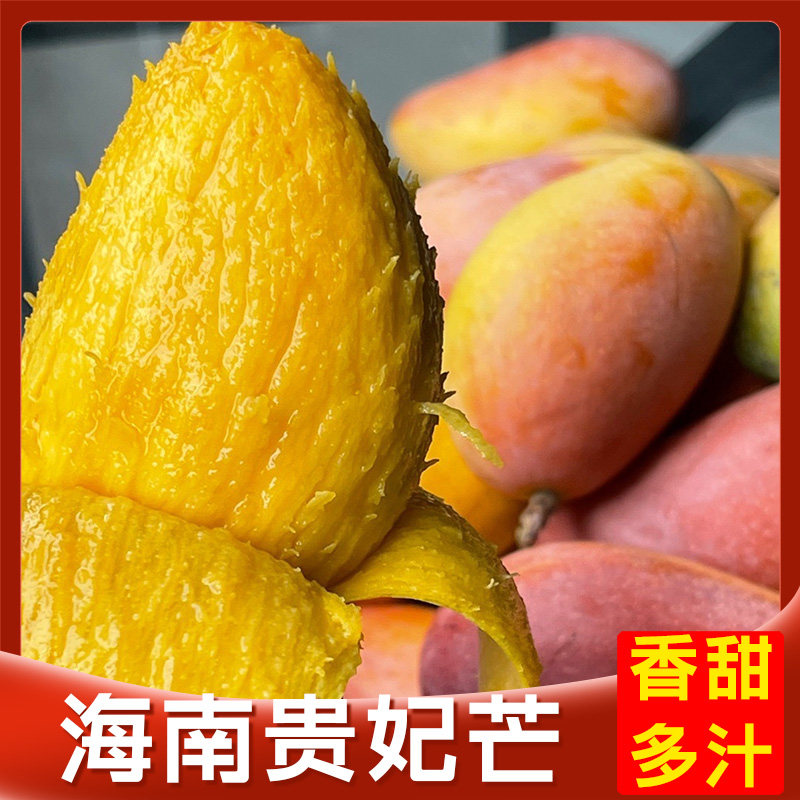 海南贵妃芒树上熟现摘大果整箱