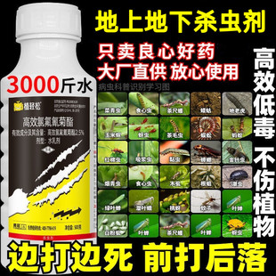 高效氯氟氰菊酯果树蔬菜杀虫剂土壤地下害虫花卉蚜虫除虫药通用