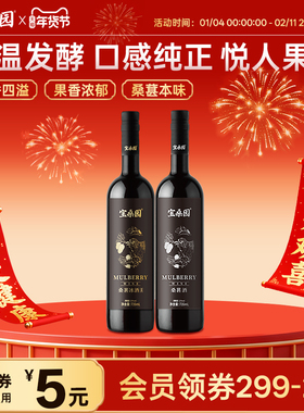 宝桑园 桑椹酒 735ml 低温发酵农科院联合研发微醺甜型干型