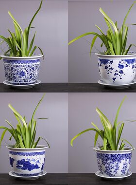 景德镇陶瓷青花瓷花盆铁树盆特大号阳台绿萝盆栽圆形家用土培清仓