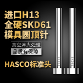 HASCO标准顶针进口真空全硬加氮化SKD61 12mm H13德标顶针顶杆2