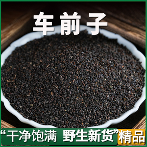 车前子中药材野生正品 车前草籽 车前子茶 车前籽 特级野生泡水