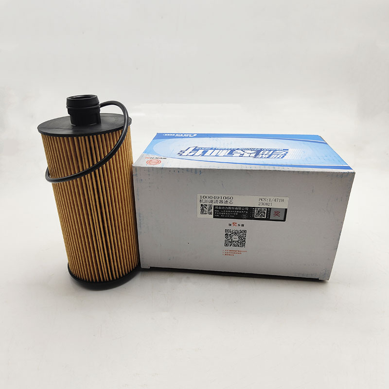 潍柴机油滤清器滤芯1000491060
