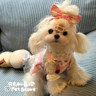 宠物发饰狗狗格子发箍立体蝴蝶结头花格子手工发夹梳夹小马约克夏