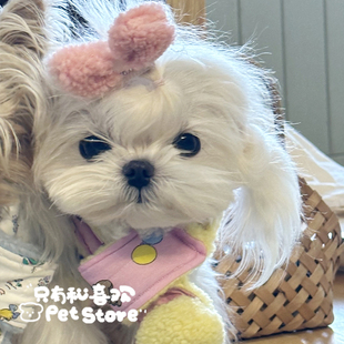 立体冬季 羊羔毛蝴蝶结手工迷你碎发宠物bb夹发夹狗狗马尔济斯