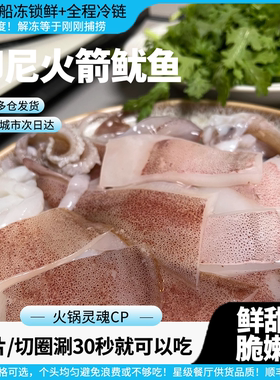 船冻刺身级火箭鱿鱼零冰衣零泡水