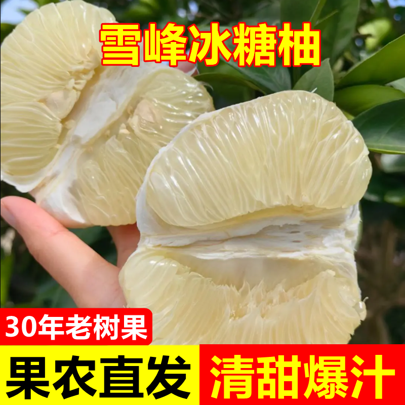 湖南怀化安江雪峰冰糖柚小苦柚药柚子非蜜柚带箱大果金兰柚