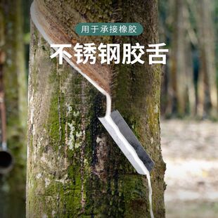 云南海南非州不锈钢橡胶树胶舌接胶头橡胶乳液导管头