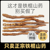 正宗河南焦作温县垆土铁棍山药新鲜铁杆淮山怀山药官方旗舰店5斤
