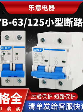 原厂供应 小型开关断路器 漏电保护开关小型断路器-LYB-63100