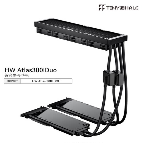 泰尼威尔Atlas300IDuo双槽显卡