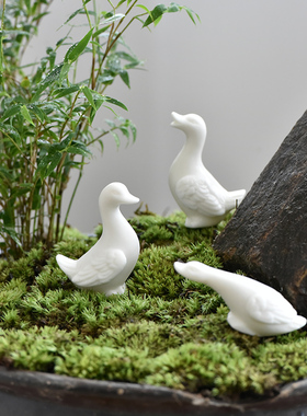 速发你迷小白鸭子动物摆件花园庭院盆栽假造水景山景微景观装饰工