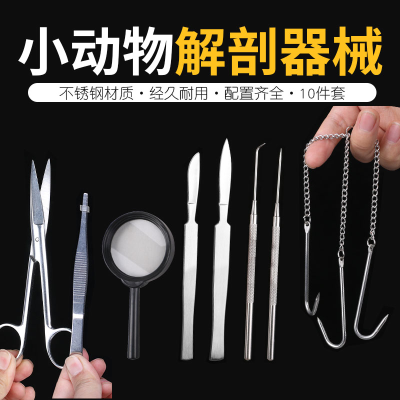 小动物解剖器械包套装不锈钢手术剪放大镜三爪链钩等手术解刨工
