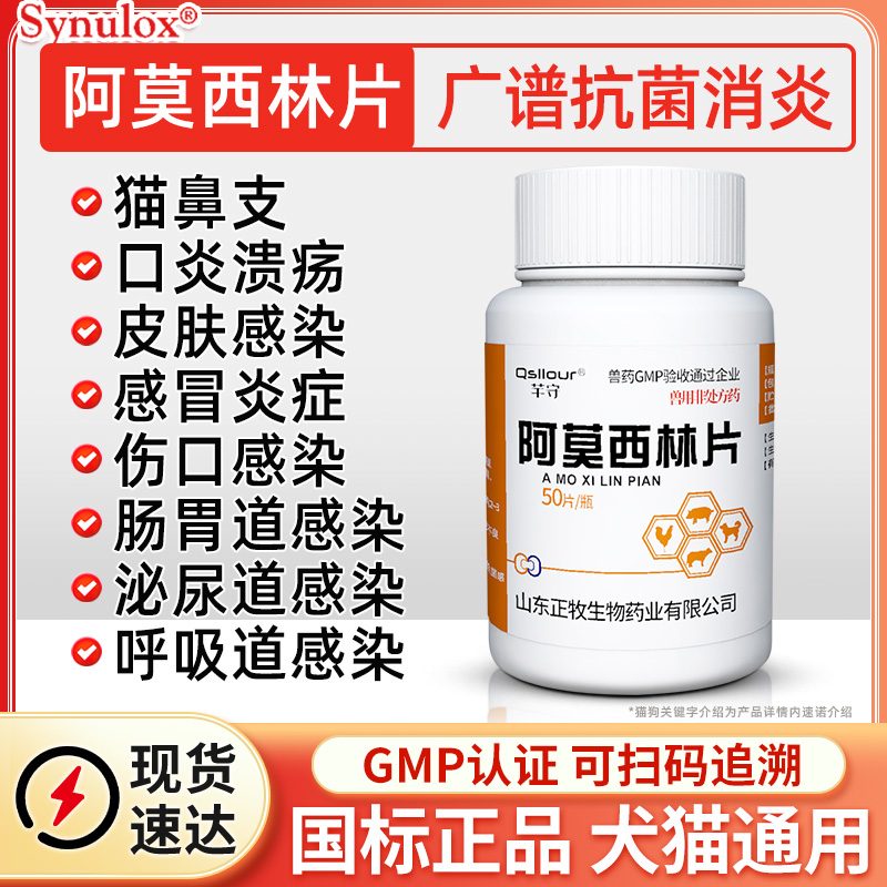 阿莫西林片宠物猫咪狗狗
