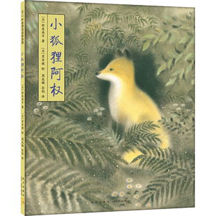 小狐狸阿权 3-6-7-10岁  正版