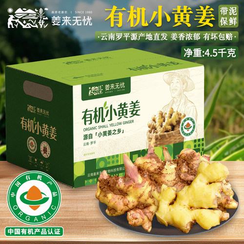 姜来无忧现挖现发有机新鲜小黄姜