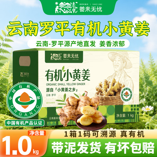 姜来无忧云南罗平有机小黄姜鲜姜