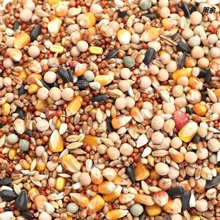 装鸽粮饲料白鸽10斤杂粮高粱鸟粮食用营养肉鸽粮鸽子食B5斤装