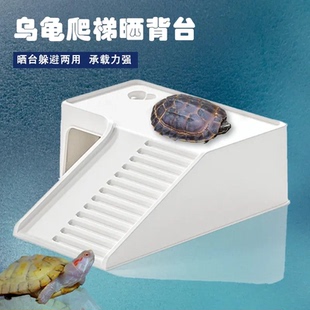 乌龟饲养缸晒台爬台龟缸造景过滤爬坡乌龟休息乌龟晒背躲避屋别墅