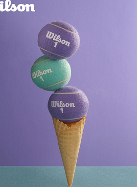 Wilson威尔胜2025款彩色马卡龙配色网球初学训练用球专业比赛网球