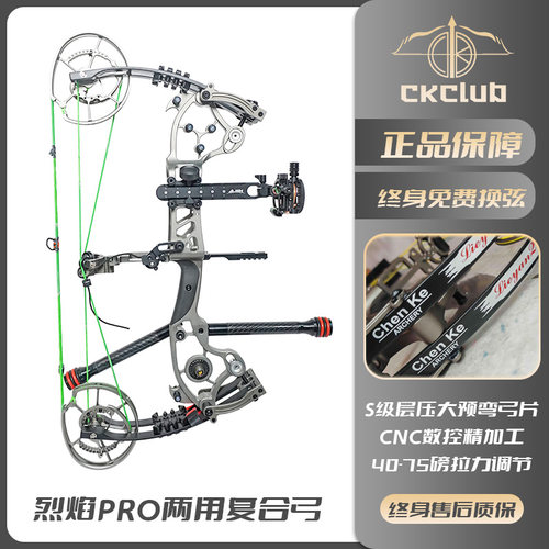 两用复合弓钢珠三角专业射箭滑轮