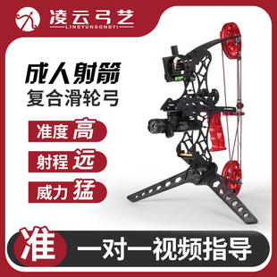两用小型复合弓多用弓迷你弓射箭两用弓户外体育大威力全金属鱼鹰
