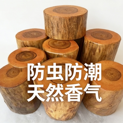 原木香樟木树墩树桩木桩凳坐凳子花架根雕茶几实木大底座墩子木墩