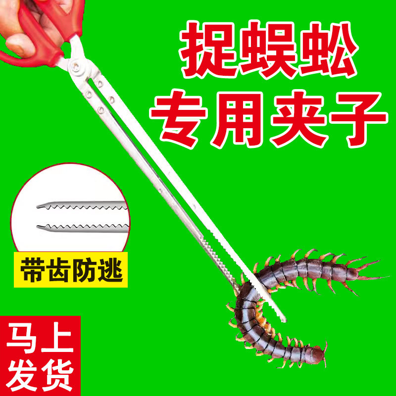 新款逮捡夹捉蜈蚣夹子专用工具防滑加厚不锈钢抓蜈蚣神器钳子镊子