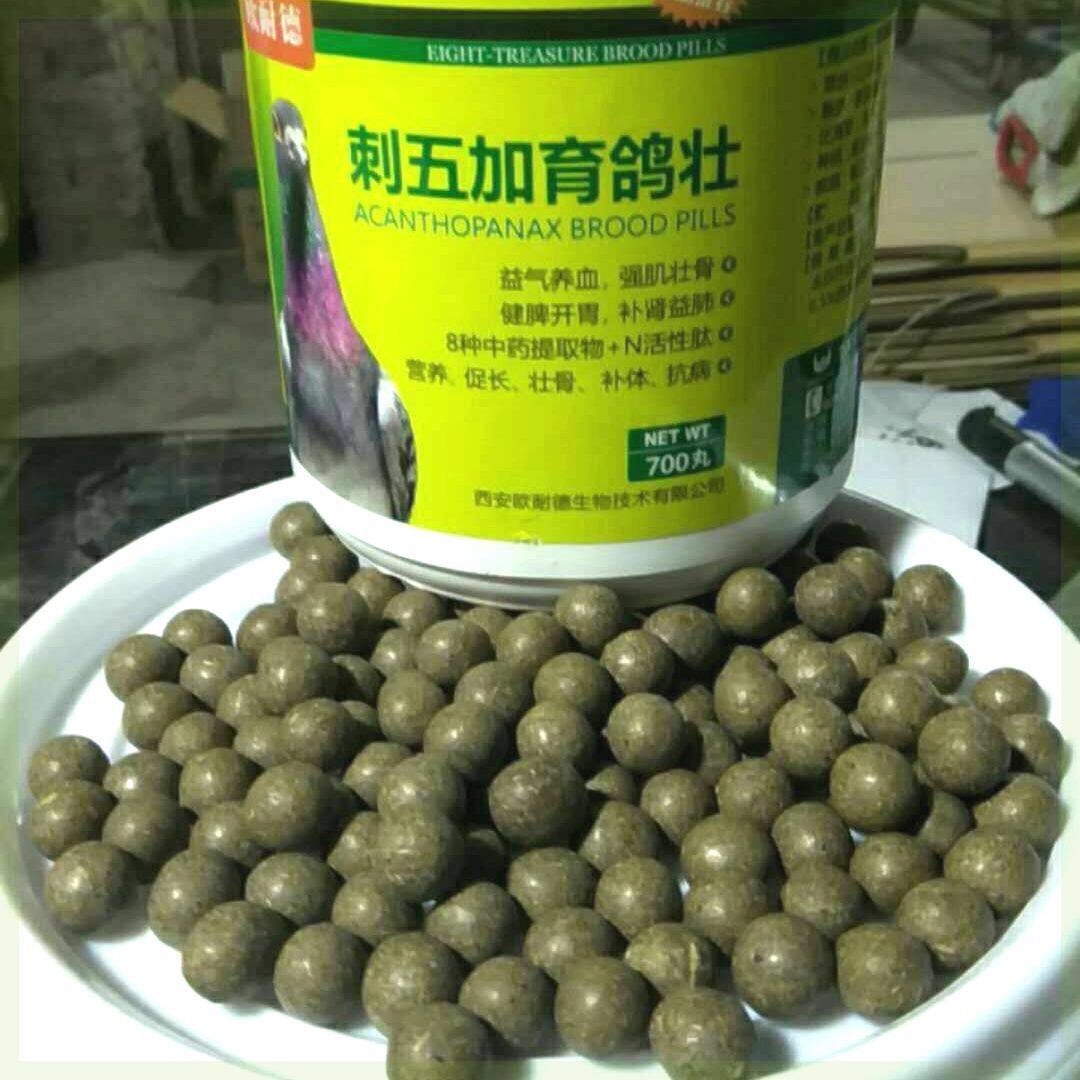 育鸽壮700丸/欧耐德鸽药信鸽赛鸽子幼鸽宝育雏宝骨骼强壮小鸽雏霸