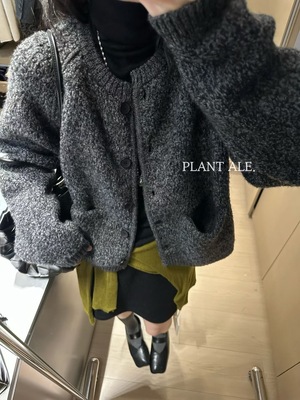 Plant Ale 2025秋冬新款韩系圆领棉羊毛开衫